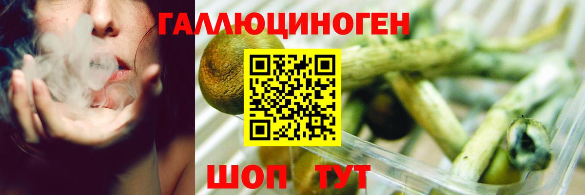 Галлюциногенные грибы MAGIC MUSHROOMS  Вход с VPN  Ишим 